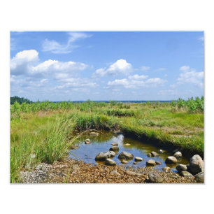 Photo Impression de photos du marais Hammonasset