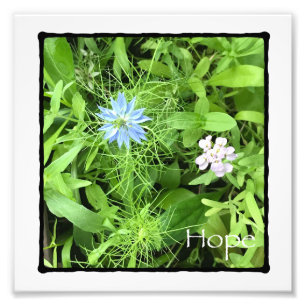 Photo Impression de photos Hope