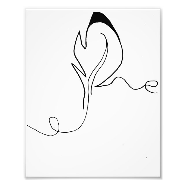 Photo Impression de plumes émiettées (Devant)