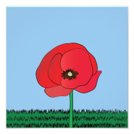 Photo Impression de Poppy