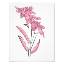 Impression d'orchidée rose