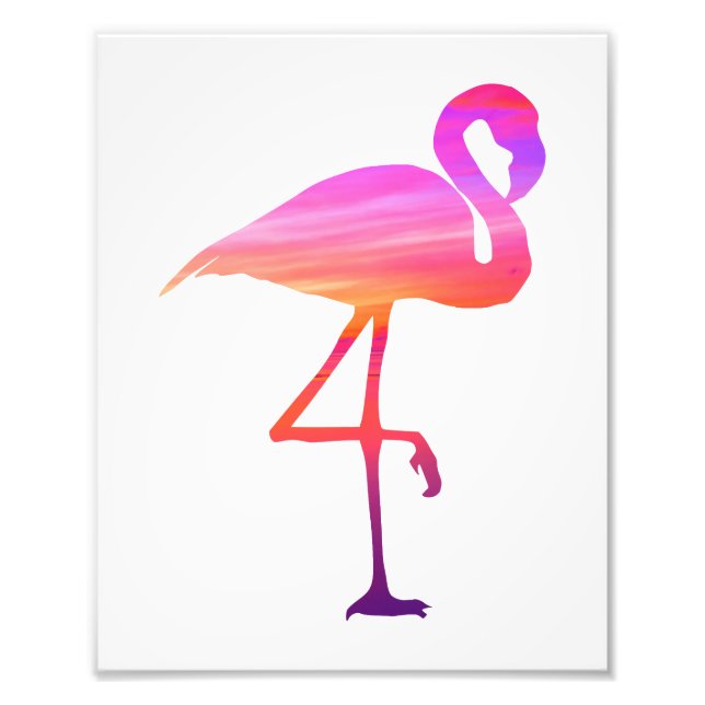 Photo Impression du coucher de soleil Flamant rose (Devant)