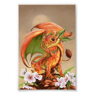 Photo Impression du Dragon de Pêche 4x6