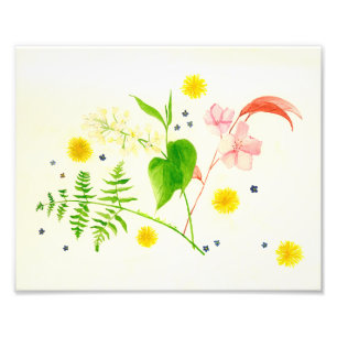 Photo Impression fleur sauvage aquarelle