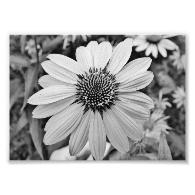 Photo Impression photographique 5x7 (Devant)