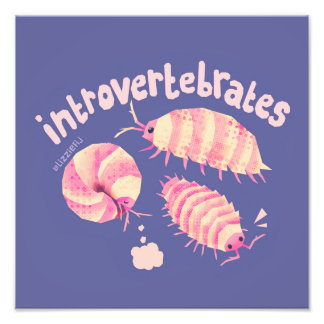 Photo Introvertébrés isopodes - impression d'art moyen