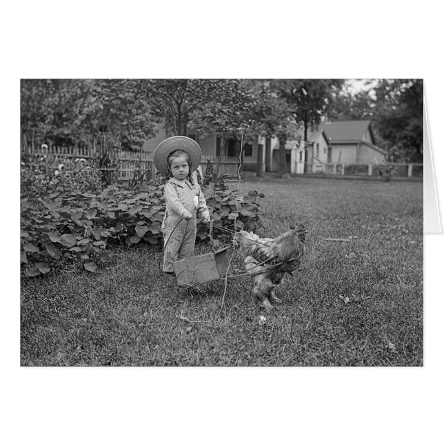 Photo Jardin de la fille du Rooster des années 188 (Devant horizontal)