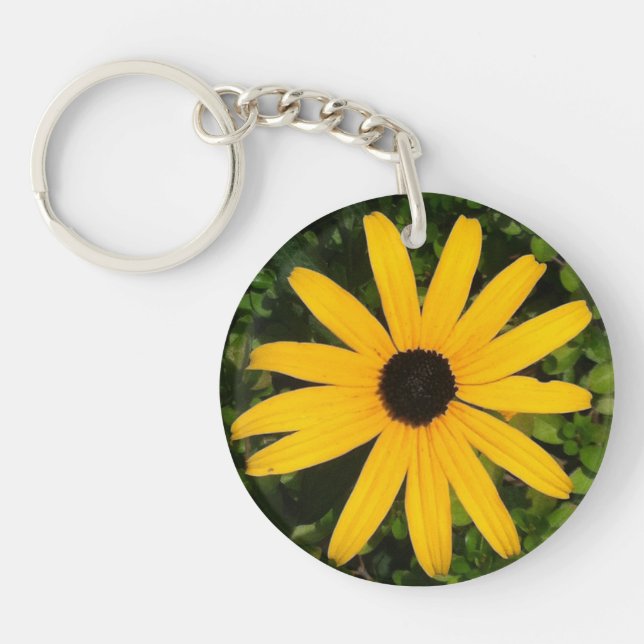 Photo Jaune Daisy  (Devant)