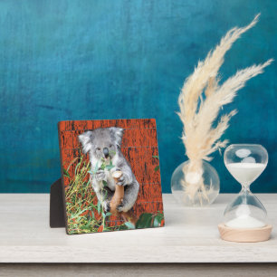 Photo Koala Snack Time Table Top Plaque