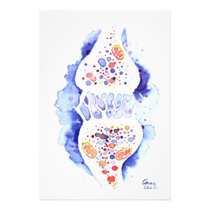 Photo La synapse et l'impulsion nerveuse impression de t