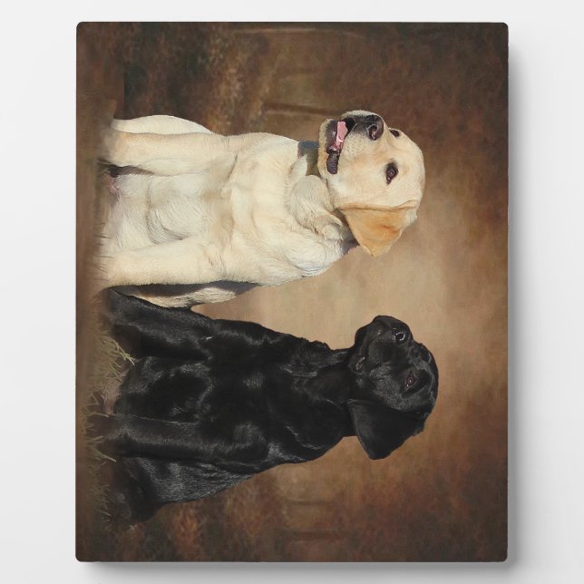 Photo Labrador Récupérer Plaque avec de l'Easel (Devant)