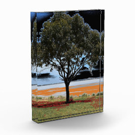 Photo Lac Beeac Solo Tree Bloc acrylique