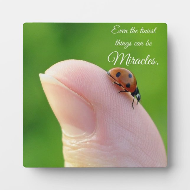 Photo Ladybugs "Les plus petits miracles" Plaque cadeau (Devant)