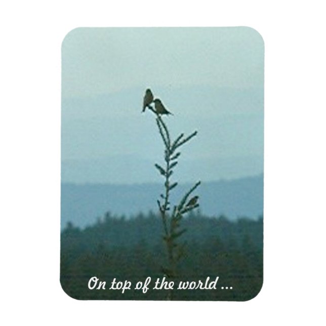 Photo Magnet - Au sommet du monde ... (Vertical)