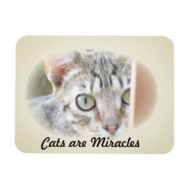 Photo Magnet - Les chats sont Miracles v.2 (Horizontal)