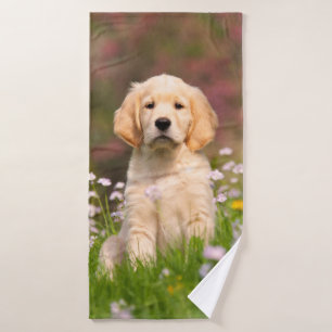 Photo mignonne d'animal de visage de chiot de