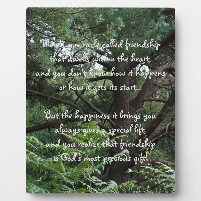 Photo Miracle de l'amitié Poem Plaque (Devant)