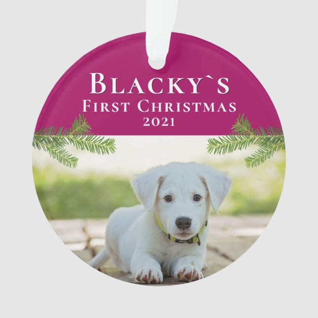 Photo Noël chiot de Noël (devant)