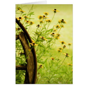 Photo Noir-Eyed de Susan et de roues