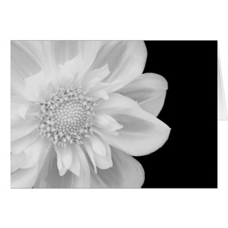 photo noire et blanche