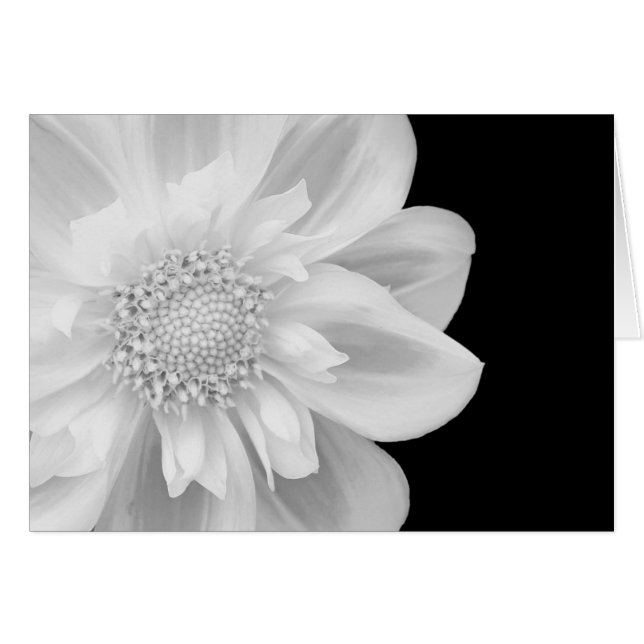 photo noire et blanche (Devant Horizontal)