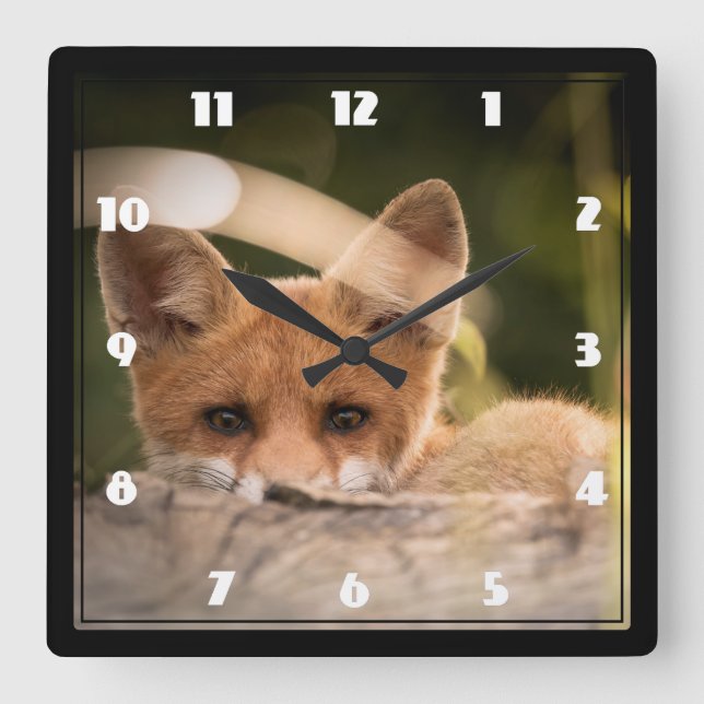 Photo of a Cute Little Orange Fox Quadratische Wanduhr (Vorderseite)