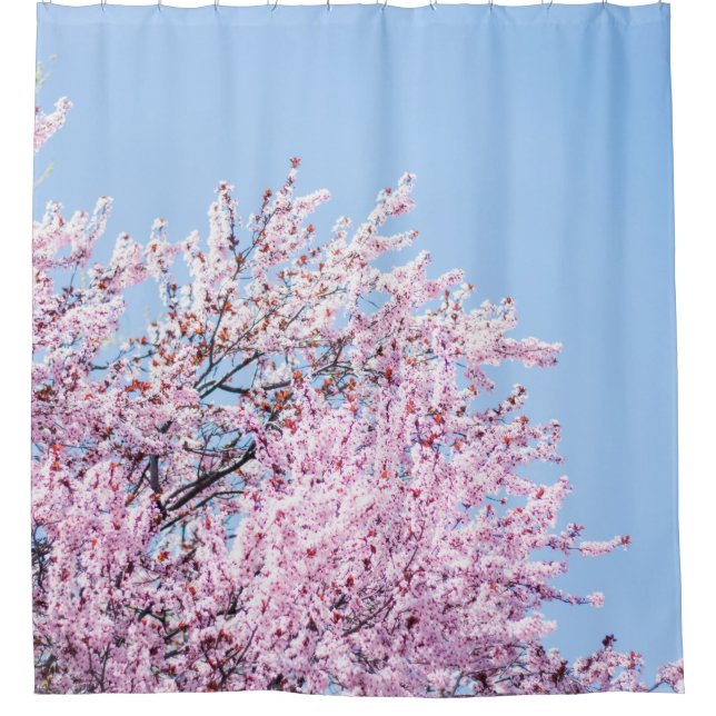 PHOTO OF CHERRY BLOSSOM TREE DUSCHVORHANG (Vorderseite)