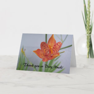 photo of orange Blackberry Lily with red spots on Karte