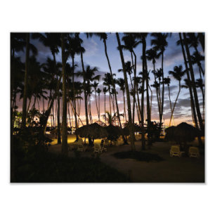 Photo Palmiers et impression de coucher de soleil