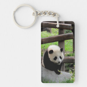 Photo Panda - Personnalisable