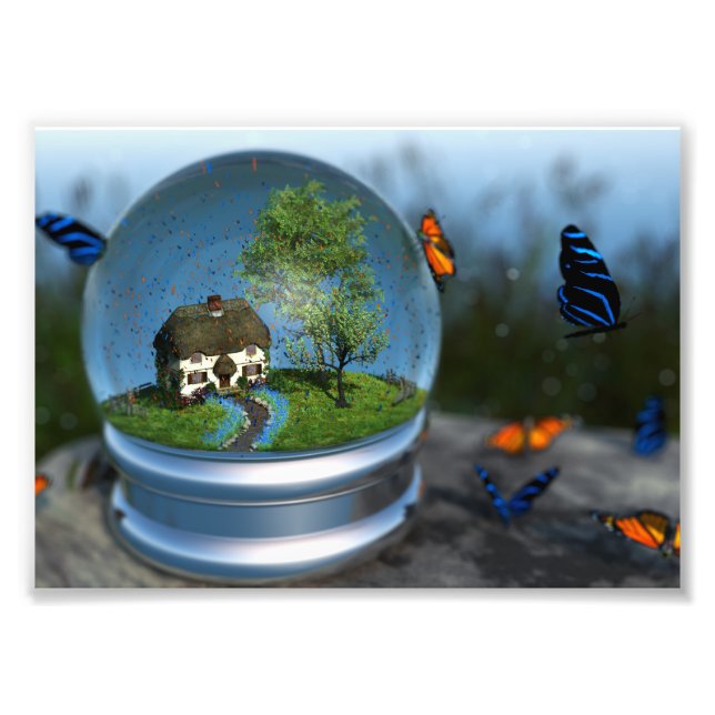 Photo Papillon Globe (Devant)