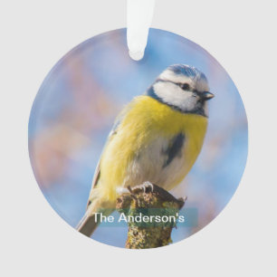 Photo personnalisé d'un oiseau bleu jaune mignon p