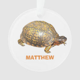 Photo personnalisée de la tortue de boîte oriental