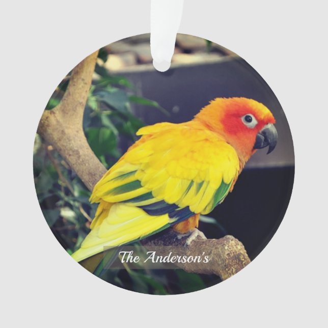 Photo personnalisée Lovebird (devant)