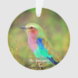 Photo personnalisée multi-couleurs Oiseau