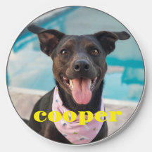 Photo personnalisée pour animal de compagnie perso