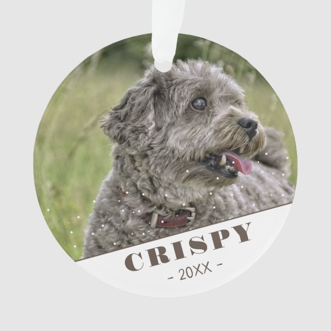 Photo personnalisée sur mesure de chien animal de  (devant)