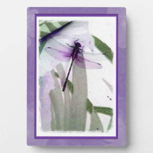 Photo Photographie de libellule Plaque d'art