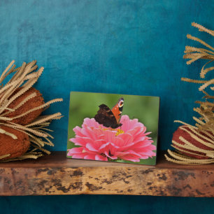 Photo Plaque à papillon Art déco
