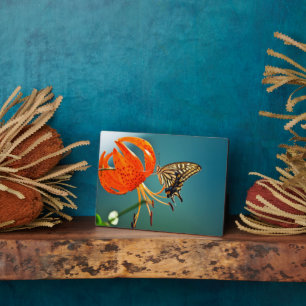 Photo Plaque à papillon Art déco