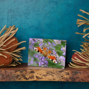 Photo Plaque à papillon Art déco