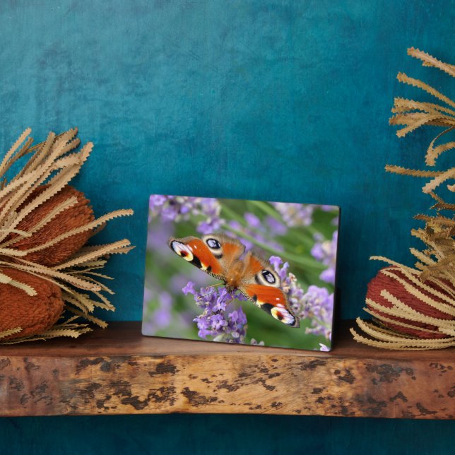 Photo Plaque à papillon Art déco (Côté)