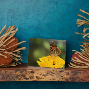 Photo Plaque à papillon Art déco