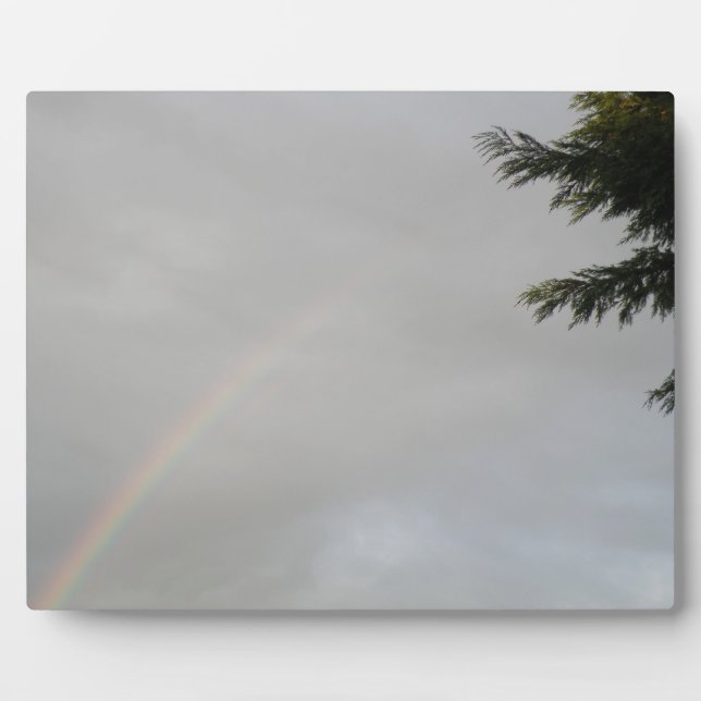 Photo Plaque arc-en-ciel (Devant)