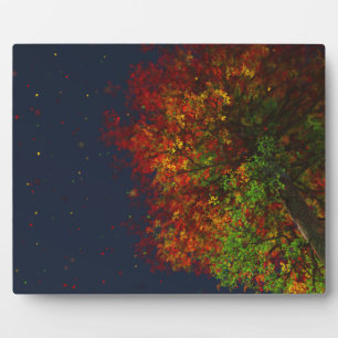 Photo Plaque Arc-en-ciel en chute