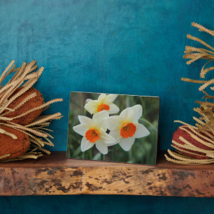 Photo Plaque Art Décor