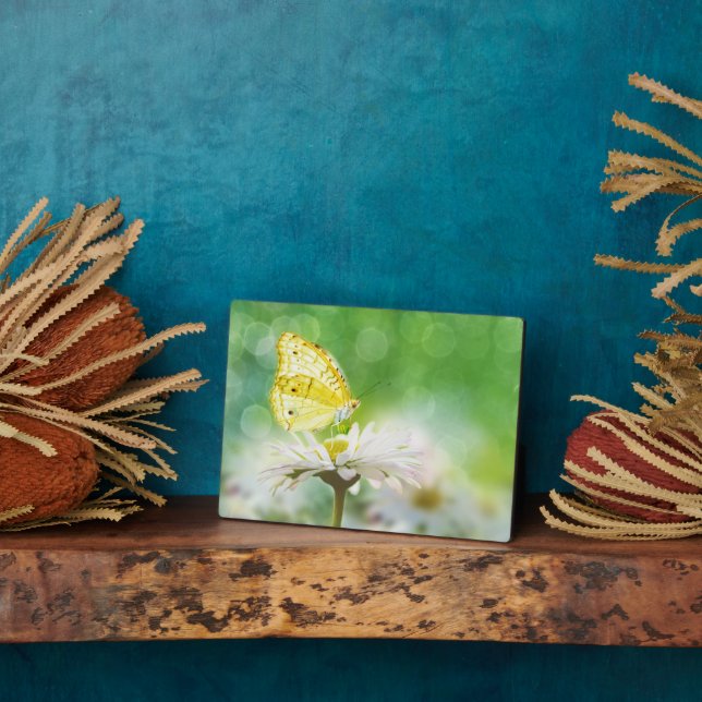 Photo Plaque Art Décor Papillon (Côté)