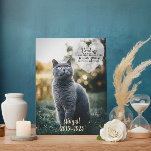 Photo Plaque commémorative pour perte de chat, condoléan