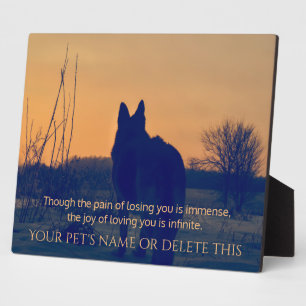 Photo Plaque commémorative pour un beau berger allemand
