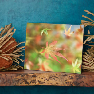 Photo Plaque d'automne Filigree